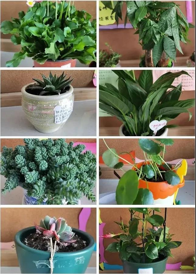 1.jpg 1.jpg