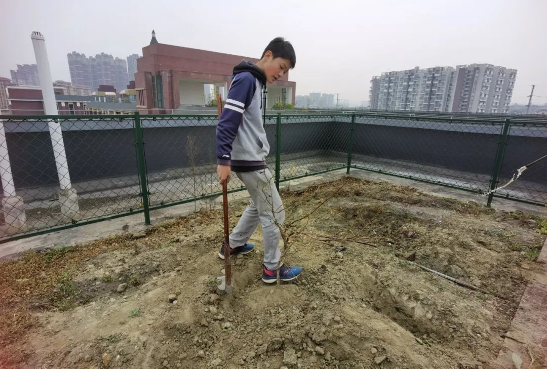 14.jpg